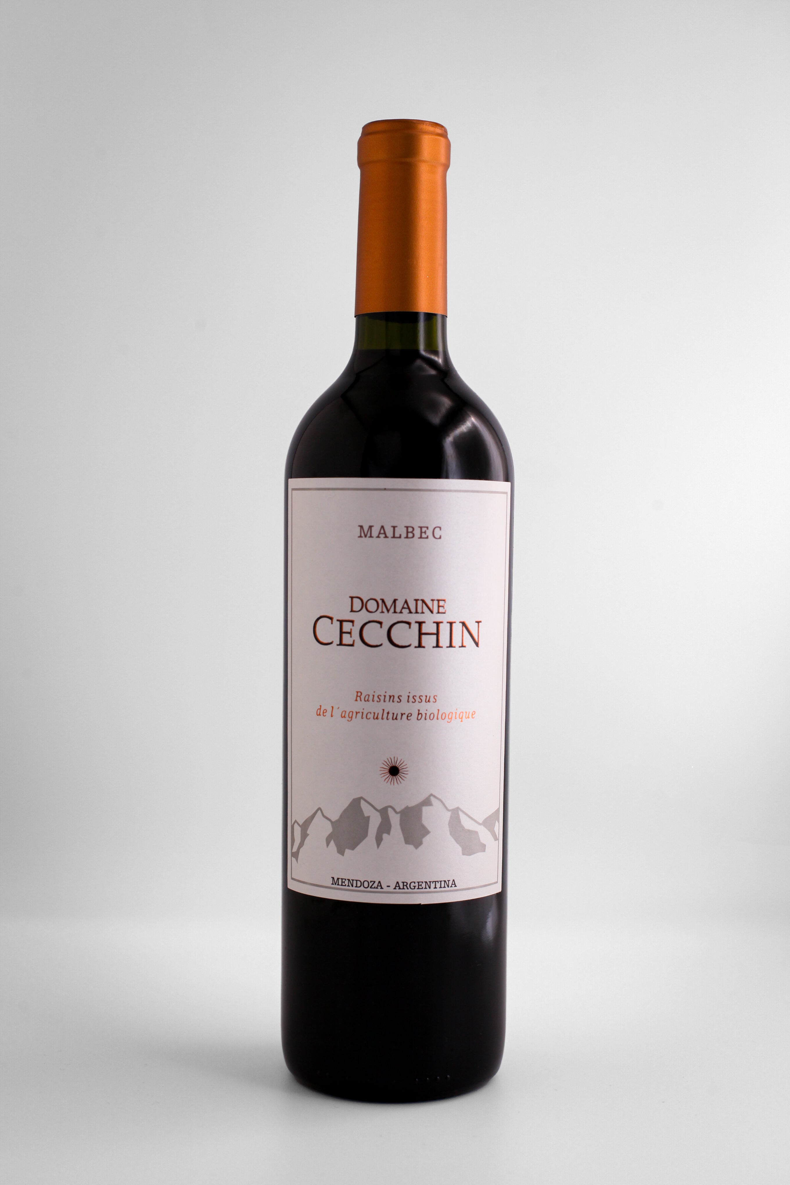 DOMAINE CECCHIN - Malbec 2019 (Bio)