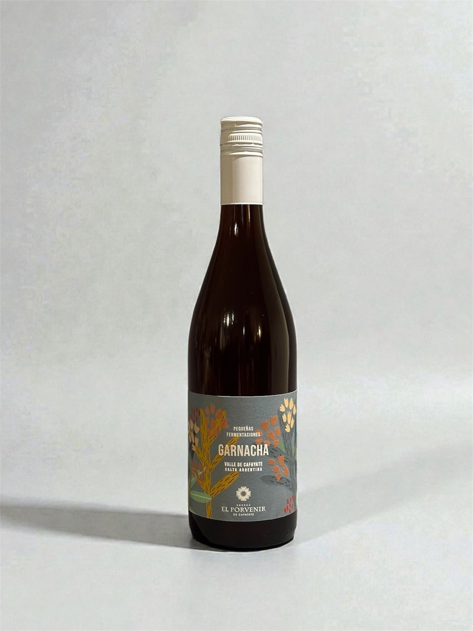 EL PORVENIR - Ganarcha, Pequeñas Fermentaciones 2024