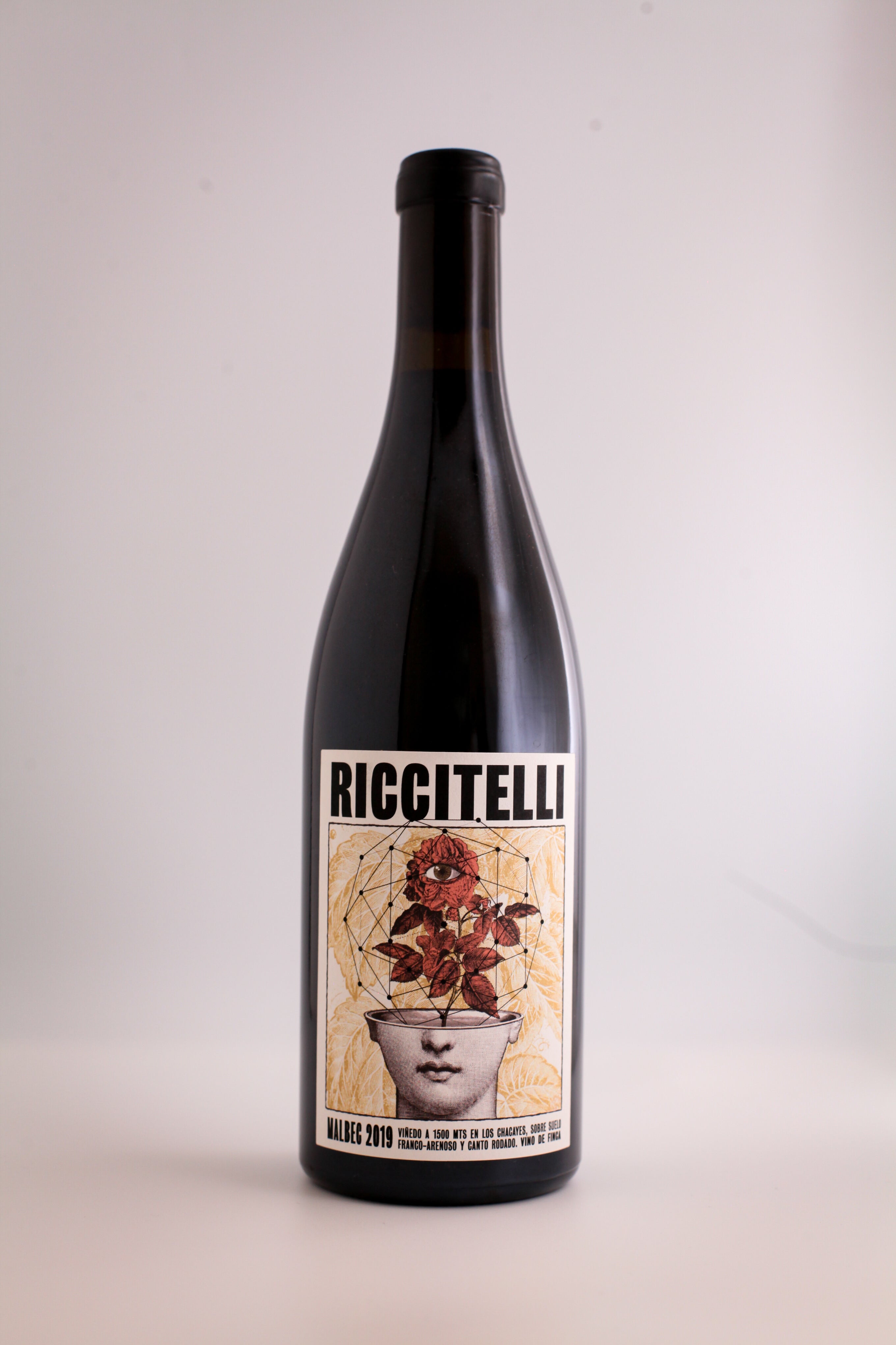 M.Riccitelli vino de los chacayes MALBEC 2019